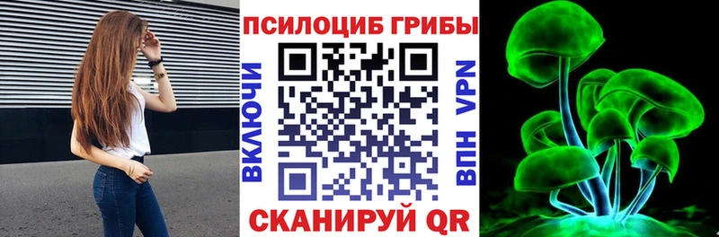 купить наркоту  Каменка  Галлюциногенные грибы Psilocybine cubensis 