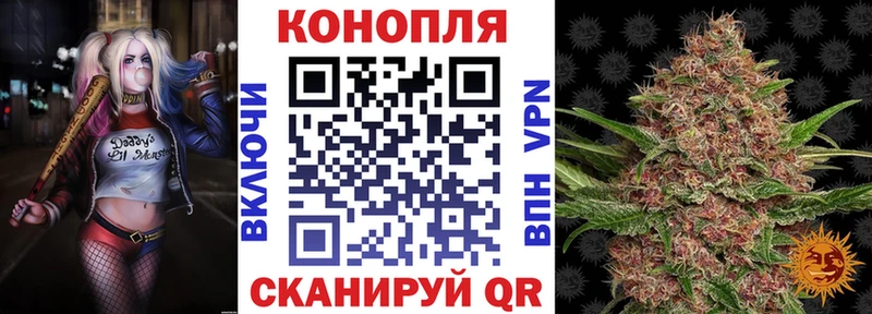 купить наркоту Каменка Шишки марихуана семена